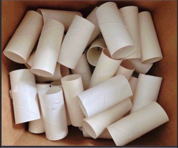 toilet paper roll for handmade craft diy